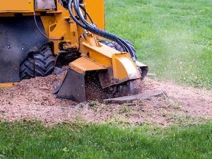 Stump Removal