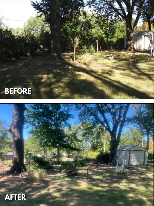 Comparison photo of a Topeka backyard transformed from dense, overgrown brush to a nice cleared out space