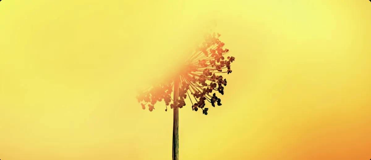 software marketing agency SaaS marketing agency B2B marketing agency tech marketing agency growth marketing agency digital marketing agency for software enterprise marketing agency marketing agency for tech companies full-service SaaS marketing agency growth agency for startups revenue growth agency demand generation agency performance marketing agency lead generation agency for software marketing partner for SaaS SaaS growth agency B2B growth agency marketing agency for startups marketing agency for software companies SaaS PPC agency Google Ads for software companies B2B PPC agency tech company PPC management paid ads for SaaS enterprise PPC services SaaS paid acquisition B2B lead generation ads high ROI ad agency software lead generation ads Google Ads agency for tech performance advertising for SaaS startup PPC agency SaaS SEO agency B2B SEO services enterprise SEO for software technical SEO for SaaS SEO for tech startups content marketing for SaaS backlinking for SaaS organic growth for software companies SEO agency for software SaaS content marketing agency growth-focused SEO local SEO for tech Google Maps SEO for SaaS SaaS website design software company web design high-converting SaaS websites B2B landing page design conversion optimization for SaaS growth-focused website design lead-generating websites SaaS UX design enterprise website design SaaS funnel design marketing automation for SaaS CRM setup for SaaS lead tracking systems funnel automation pipeline automation growth dashboards marketing analytics for SaaS revenue attribution systems sales pipeline systems growth infrastructure SaaS marketing tech stack revenue operations setup data-driven growth agency SaaS not getting leads software startup not growing B2B startup growth problems SaaS customer acquisition issues how to scale a SaaS company why my SaaS isn’t growing stagnant SaaS growth how to grow MRR automate SaaS growth how to get leads for software predictable SaaS revenue best SaaS marketing agency top B2B marketing agencies SaaS marketing agency pricing hire SaaS marketing agency outsource SaaS marketing best growth agency for startups SaaS growth consultants enterprise SaaS marketing firm software marketing company B2B growth partner marketing agency for founders CMO growth partner outsourced marketing team fractional marketing team external growth department startup marketing team for hire B2B marketing team for hire growth partner for founders go-to-market partner revenue operations partner enterprise marketing agency USA premium SaaS marketing high-end growth agency scalable growth solutions managed marketing services done-for-you SaaS marketing end-to-end growth systems growth infrastructure for startups professional SaaS marketing firm generate B2B leads predictable lead generation build a sales pipeline increase MRR grow recurring revenue scale revenue fast build a revenue engine turn traffic into revenue automated lead generation consistent inbound leads HubSpot marketing agency GoHighLevel agency Salesforce marketing partner Webflow SaaS agency WordPress SaaS marketing CRM automation agency RevOps agency marketing systems agency funnel agency for SaaS fintech marketing agency healthcare SaaS marketing AI software marketing cybersecurity marketing agency proptech marketing edtech marketing services HR software marketing construction software marketing logistics SaaS marketing CRM software marketing vertical SaaS growth agency SaaS marketing agency USA Silicon Valley marketing agency Bay Area SaaS marketing California growth agency national SaaS marketing agency US-based software marketing agency how to grow a SaaS company SaaS growth playbook B2B growth framework how to scale MRR SaaS marketing roadmap building a revenue engine go-to-market SaaS strategy SaaS acquisition channels growth model for startups growth marketing for software companies SaaS lead generation services B2B demand generation agency SaaS inbound marketing outbound marketing for SaaS product-led growth agency startup growth marketing scale-up marketing agency venture-backed startup marketing marketing for VC-backed startups SaaS go-to-market agency launch marketing for software SaaS product marketing agency B2B product marketing growth hacking for SaaS revenue marketing agency pipeline generation for B2B SaaS appointment setting B2B sales enablement agency marketing operations for SaaS SaaS lifecycle marketing onboarding optimization for SaaS retention marketing for software churn reduction strategies SaaS account-based marketing for B2B ABM agency for SaaS enterprise demand generation mid-market SaaS marketing SMB SaaS growth agency startup accelerator marketing early-stage SaaS marketing Series A startup marketing Series B SaaS growth SaaS scale-up strategy SaaS growth consulting B2B growth consulting SaaS revenue consulting marketing strategy for software companies SaaS brand strategy positioning for SaaS messaging for B2B software SaaS copywriting services conversion copywriting for SaaS landing page optimization for software CRO for SaaS funnel optimization for B2B growth experiments for SaaS analytics-driven marketing KPI-driven growth performance-based marketing agency ROI-focused marketing revenue-first marketing agency marketing that drives revenue scalable marketing systems predictable growth systems full-stack marketing for SaaS end-to-end marketing for software turnkey marketing solutions growth engine for startups build a predictable pipeline marketing systems for scale SaaS growth framework B2B growth engine SaaS marketing playbook modern SaaS marketing agency