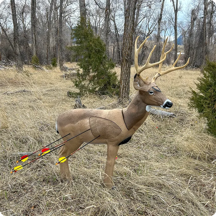 Bow Crazy 3D Targets