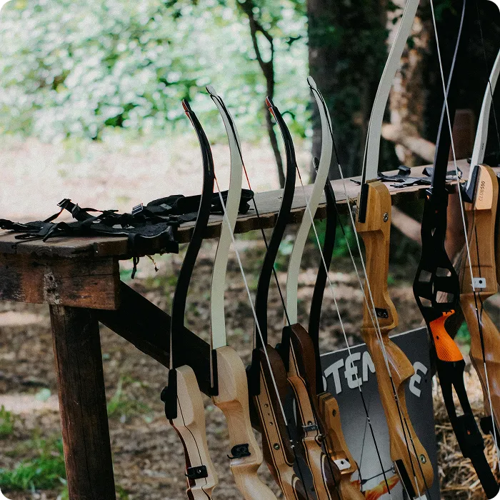 Bow Crazy - Bow and Arrows