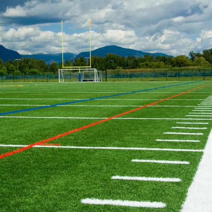 Deck Artificial Turf