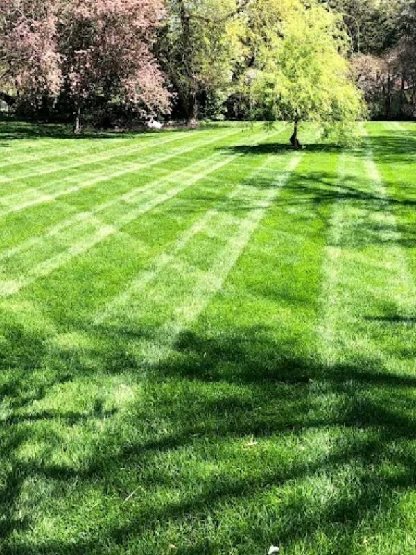 Lawn Fertilization & Weed Control Service in wichita, ks