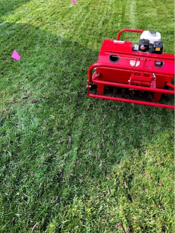 core areation and overseeding in wichita