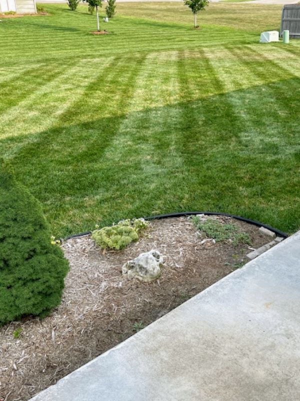 Flower bed maintenance in wichita, ks
