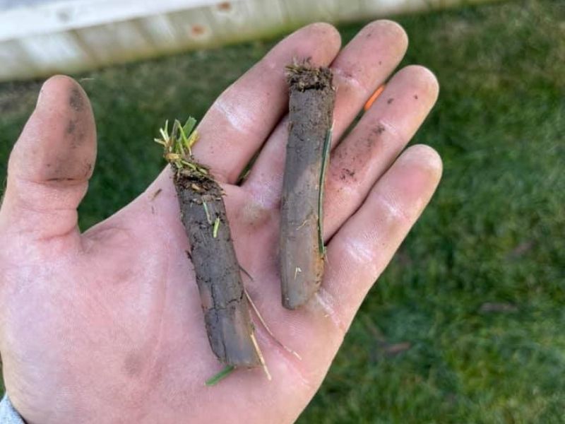 Core aeration and overseeding in wichita, ks