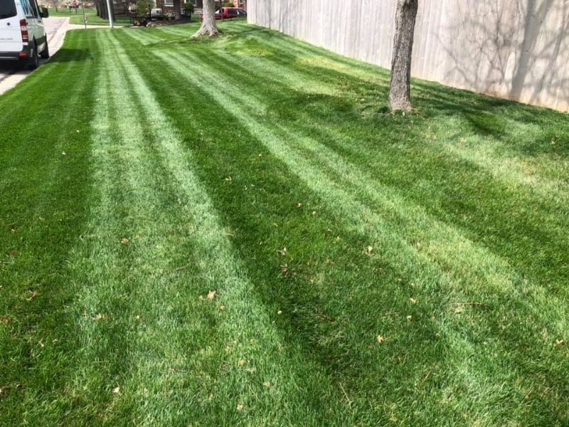 Lawn fertilization services in wichita ks by green machine lawn and landscape