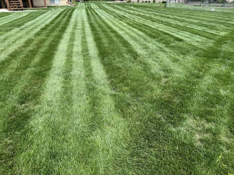 Lawn fertilization services in Wichita, KS by Green Machine Lawn and Landscape