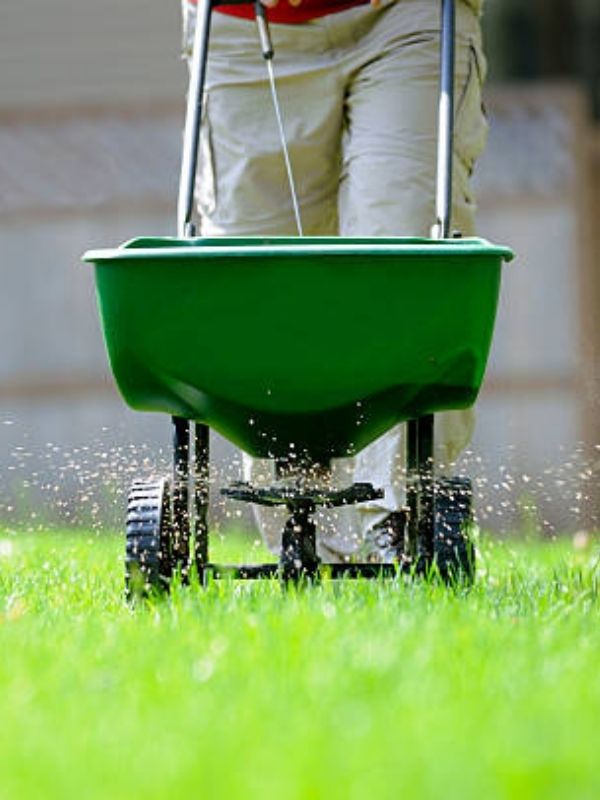 Lawn Fertilization & Weed Control Service in Wichita, KS