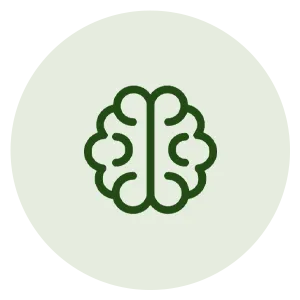 Certification Intelligence Émotionnelle — Académie Mind Awaken