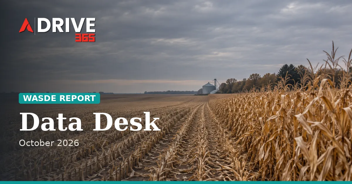 USDA Has Raised Its Corn Carryout 18% Since September