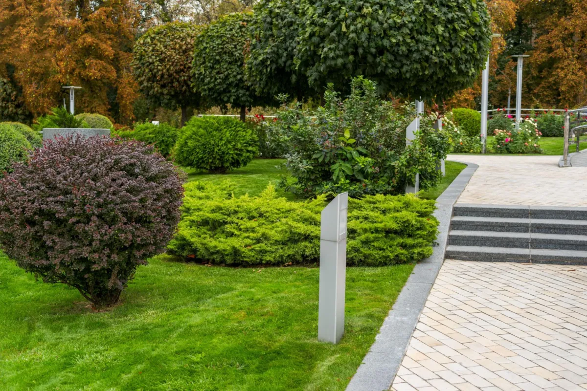 Lush landscaped garden featuring manicured shrubs, ornamental trees, and a stone pathway, illustrating tailored outdoor design for enhancing property aesthetics in Sydney.