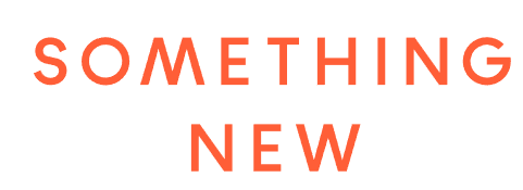 something new boutique logo colorado springs