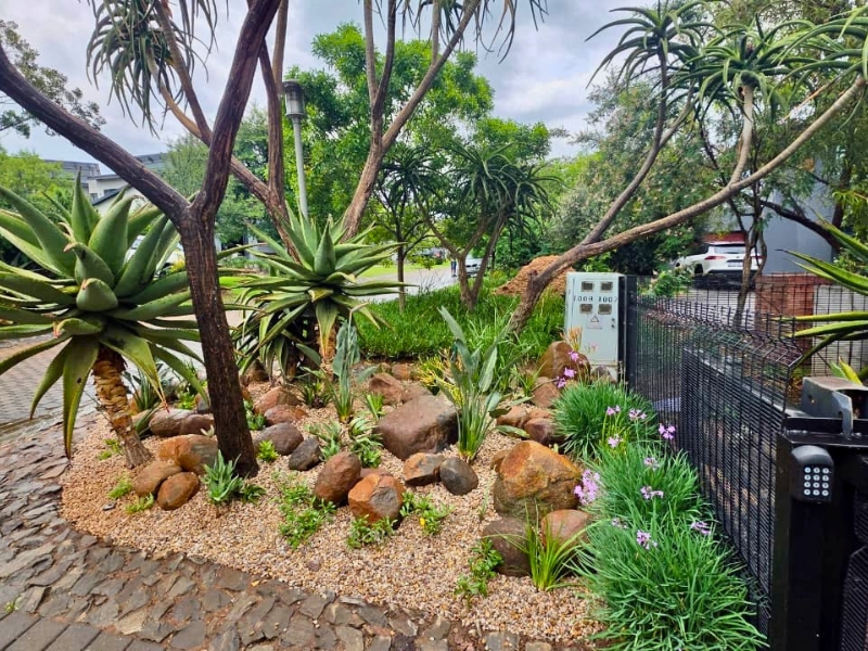 Outdoor, Pool & Boma Design in Waterfall Country Estate