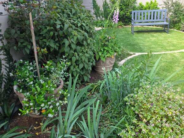 Edible Landscapes & Urban Farming Waterfall Country Estate