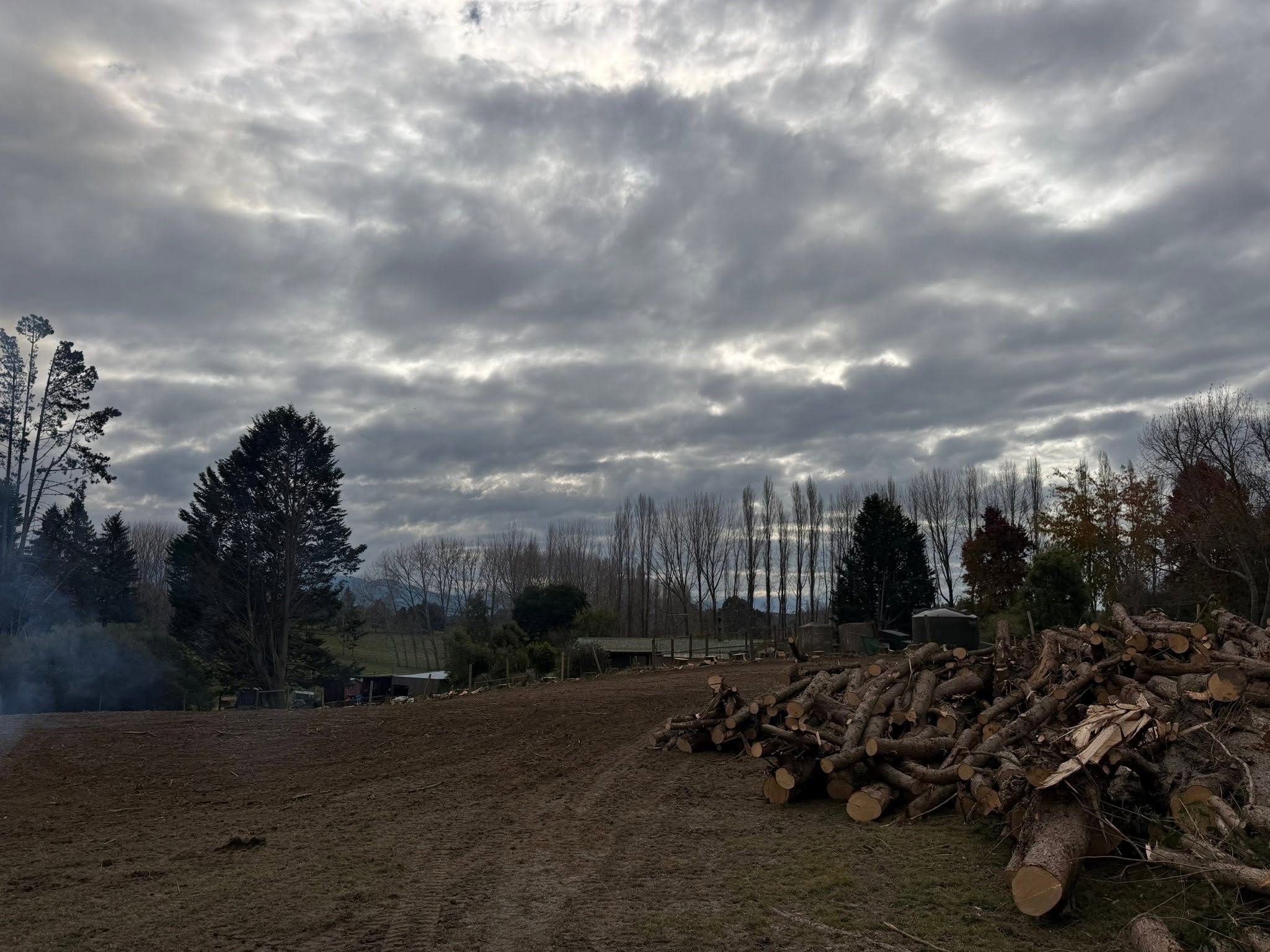 Cleared rural section with logs removed Nelson Tasman