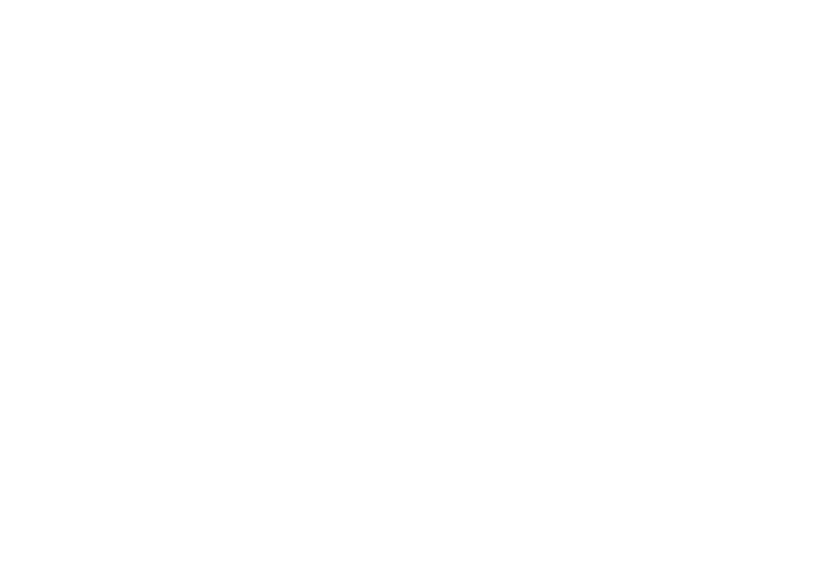 Palm Harbor Construction Staffing logo