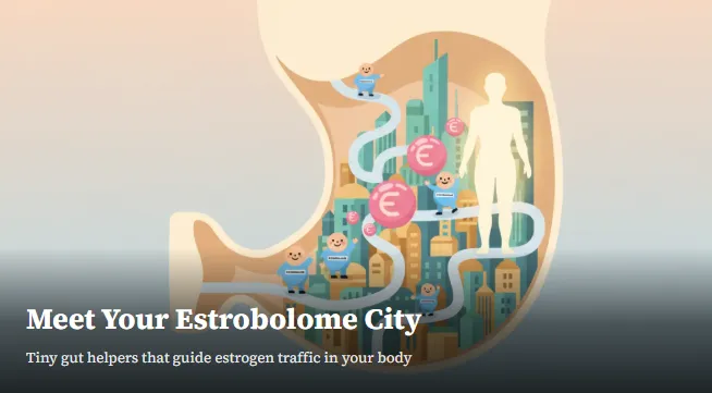 Fibroids, PMS, Endometriosis: What Does Your Gut Have to Do With It?