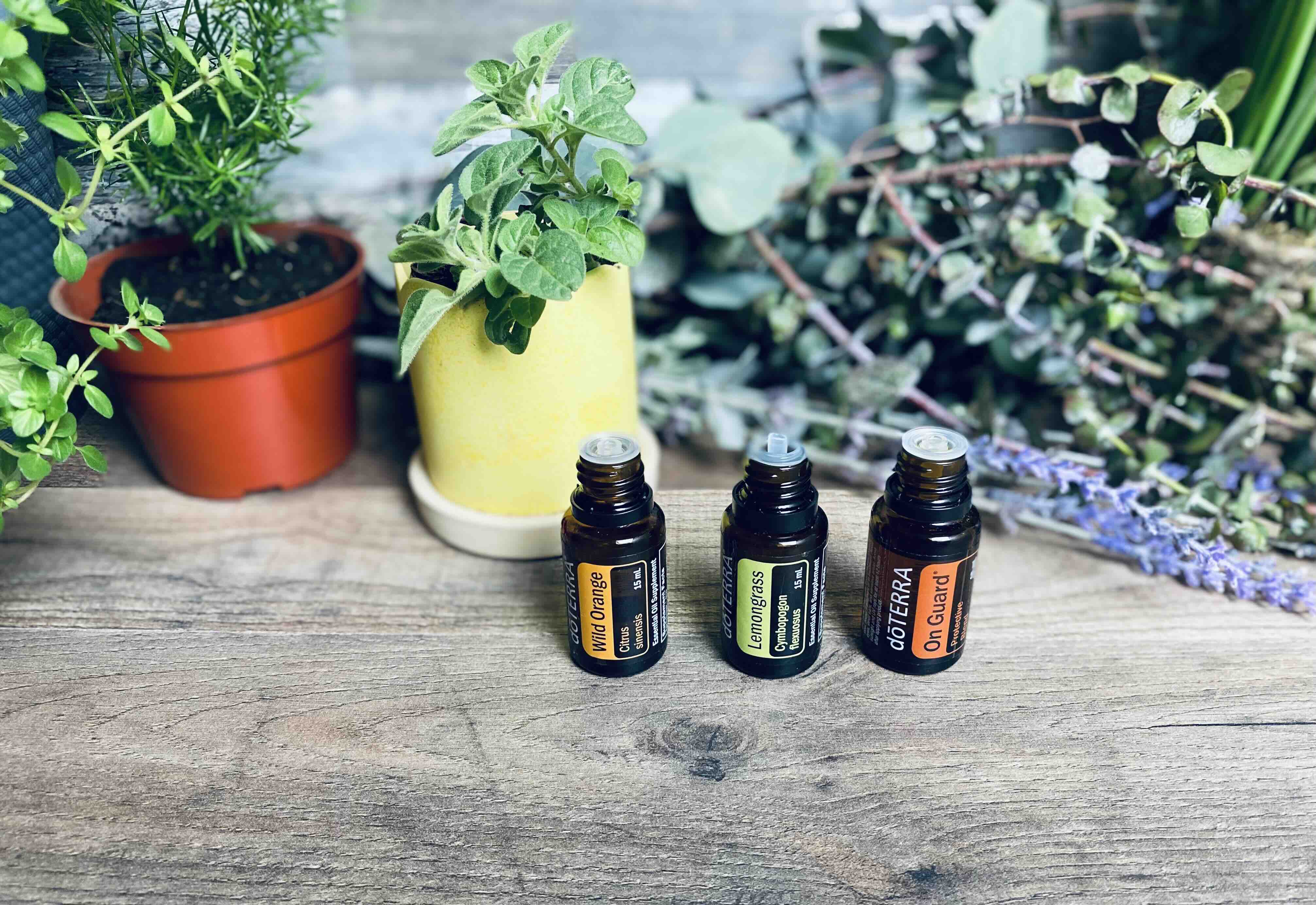 Apartments Cleaning Sterling