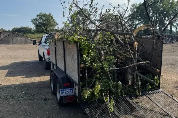 Curbside pickups Toledo