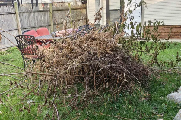 Curbside pickups Toledo