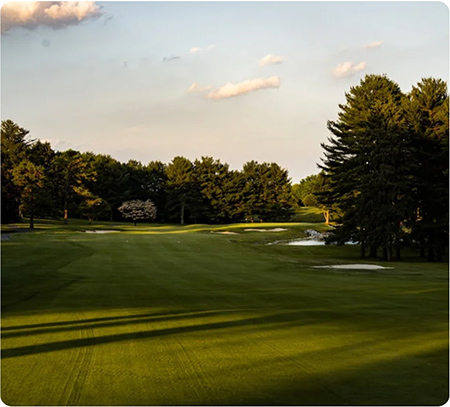 Golf field