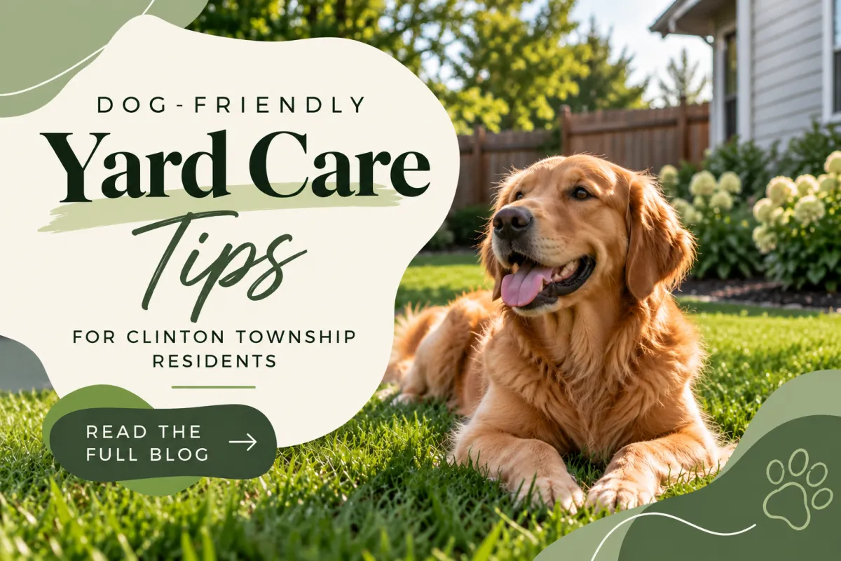 Dog Friendly Yard Care Tips for Clinton Township Residents