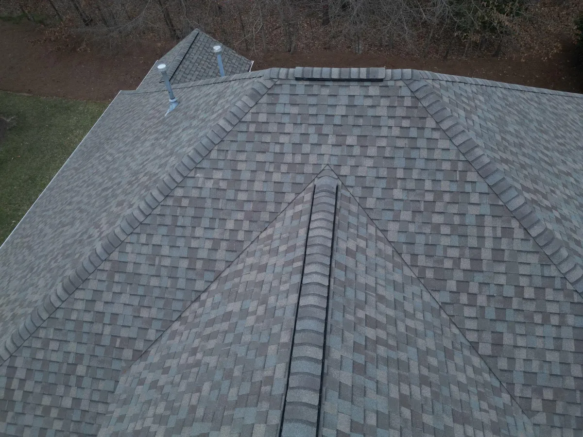 A close up of a roof with a tree in the background