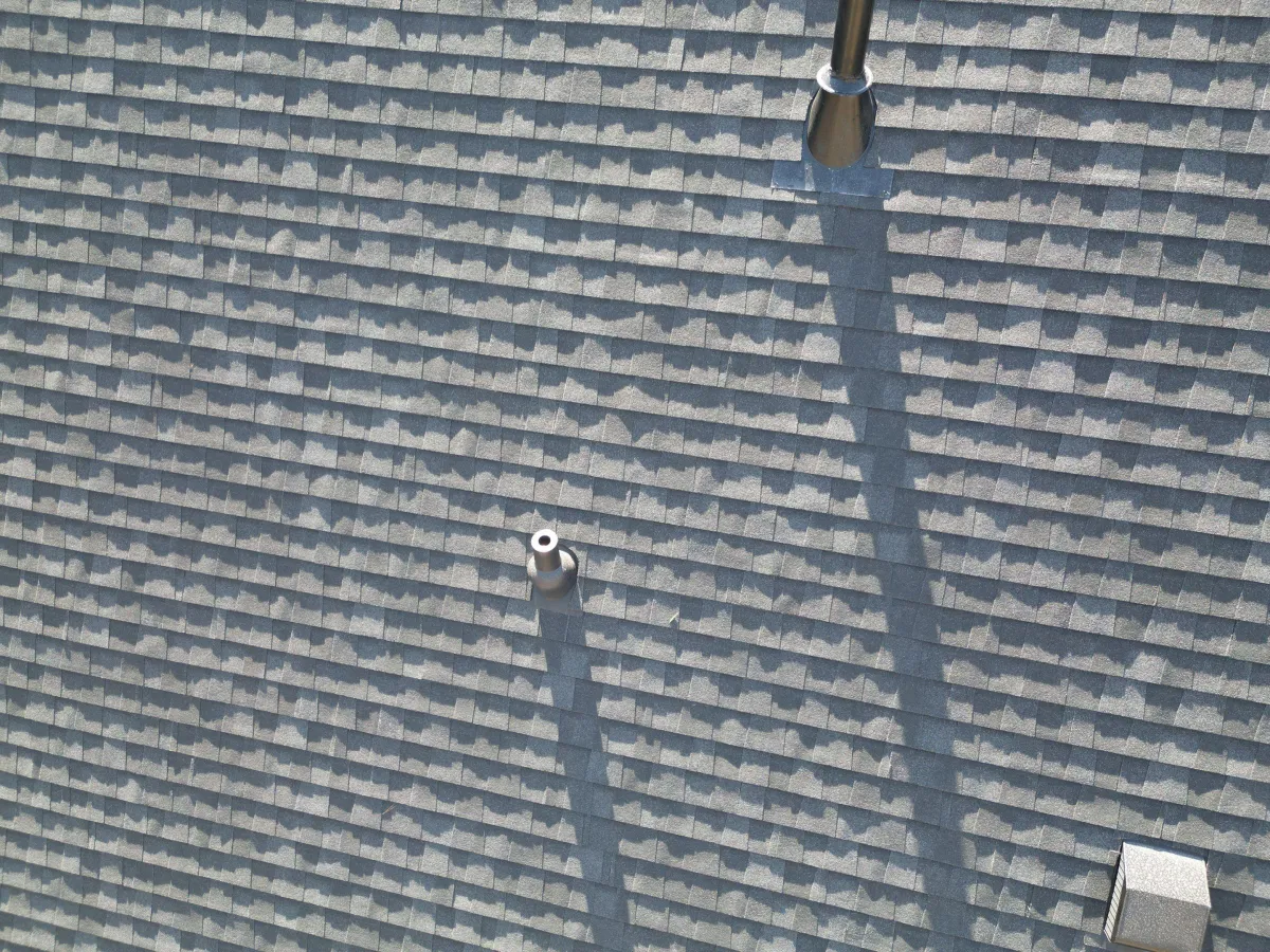 A close up of a roof with a tree in the background