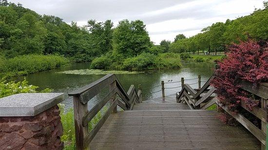 Alliance Deck Builders of Springfield logo