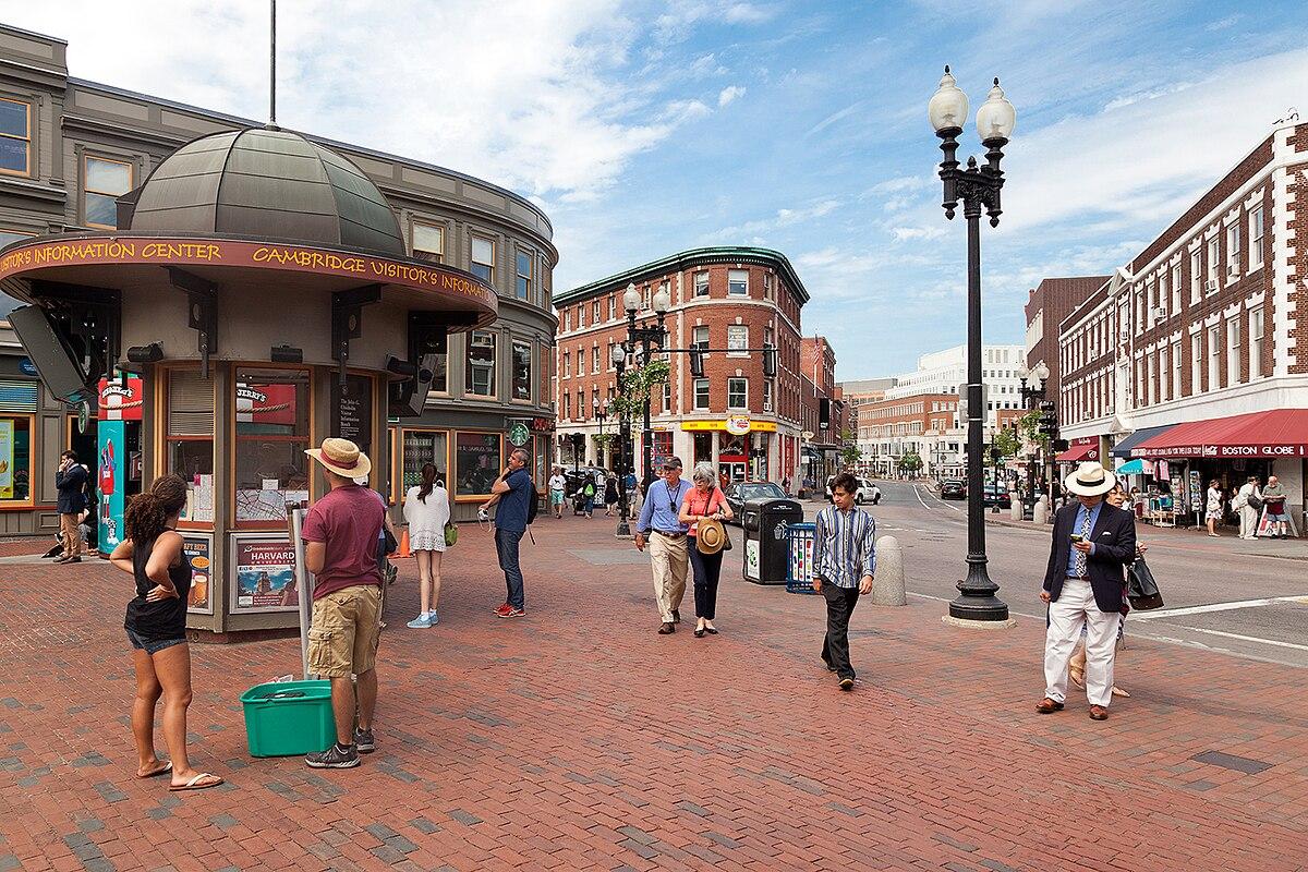 Rooftop deck in Harvard Square overlooking shops
