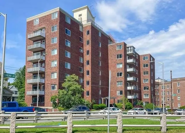 Large cedar deck in West Cambridge backyard