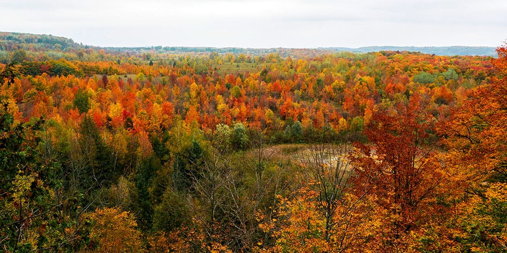 Image of Mono Cliffs Provincial Park located in Mono Centre, in Mono, Ontario