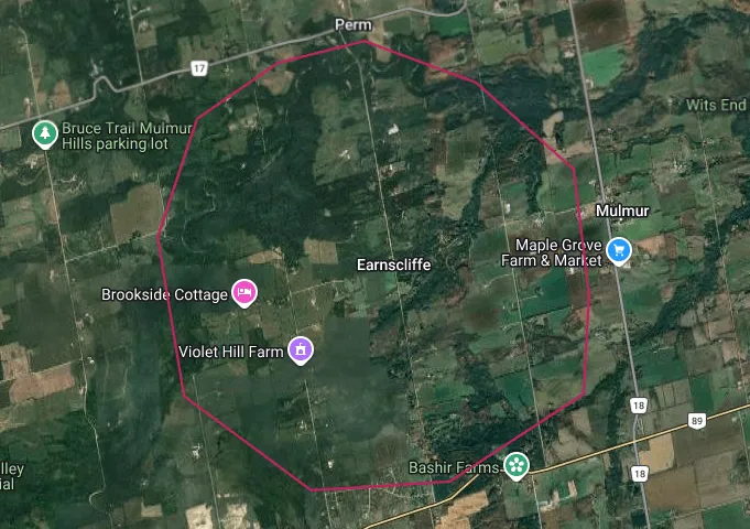 Map of the Mulmur township area highlighting the Ruskview real estate area outlined in red