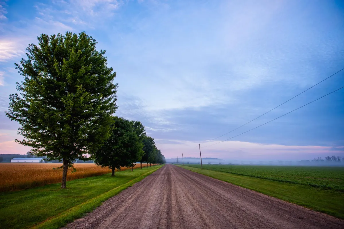 Tree-lined country road located in the Whitfield area of Mulmur Township