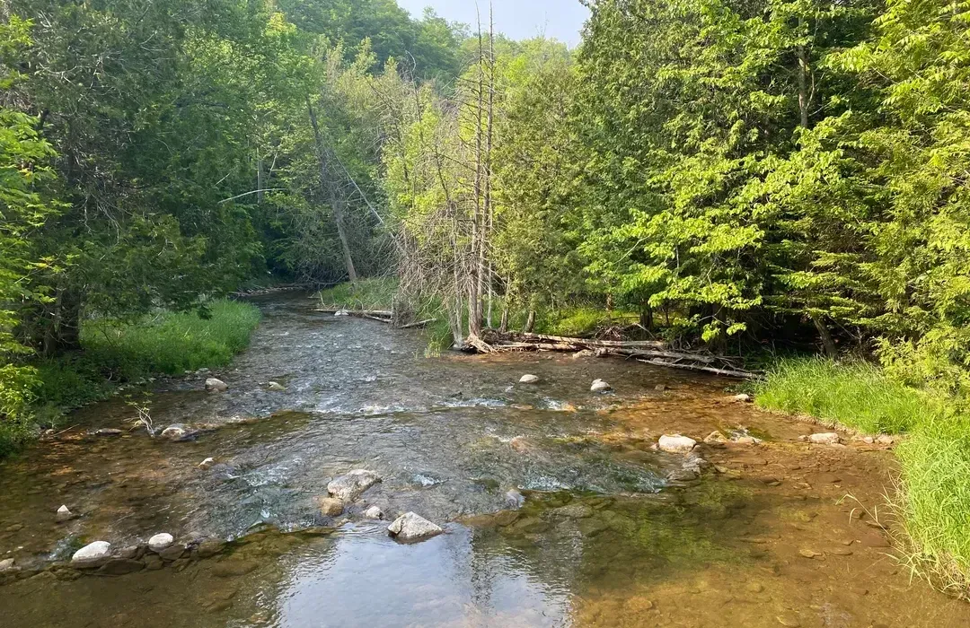A stream running through Noisy River Provincial Park located in the Lavender area of Mulmur Township