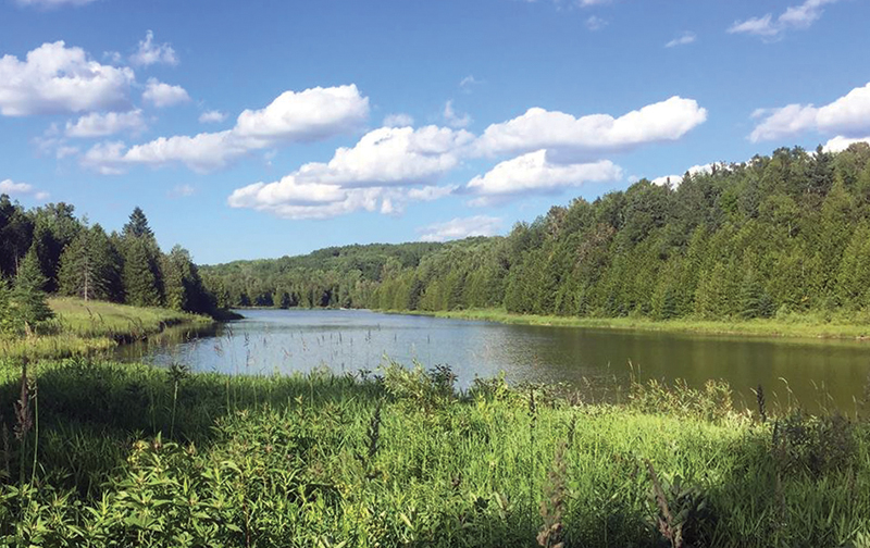 Image of the Pine River Provincial Fishing Area located in the Kilgorie area of Mulmur Township