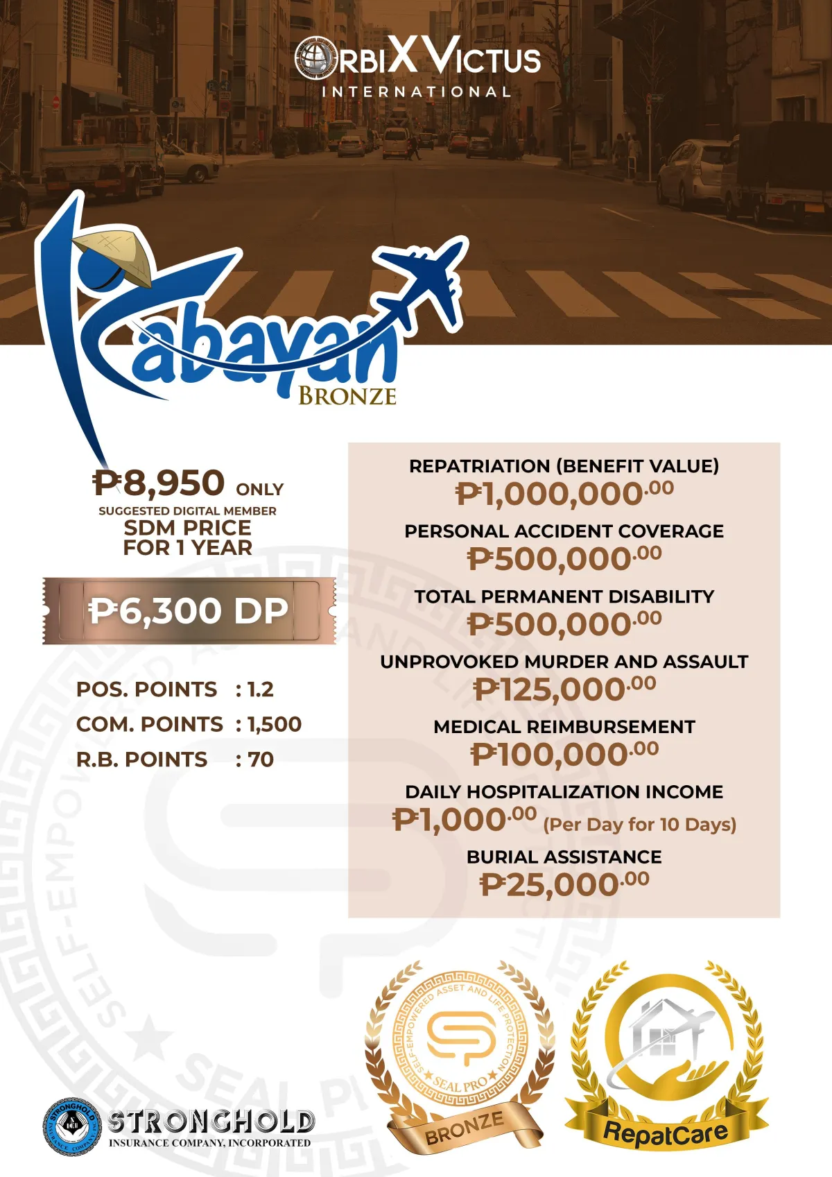 KABAYAN BRONZE
