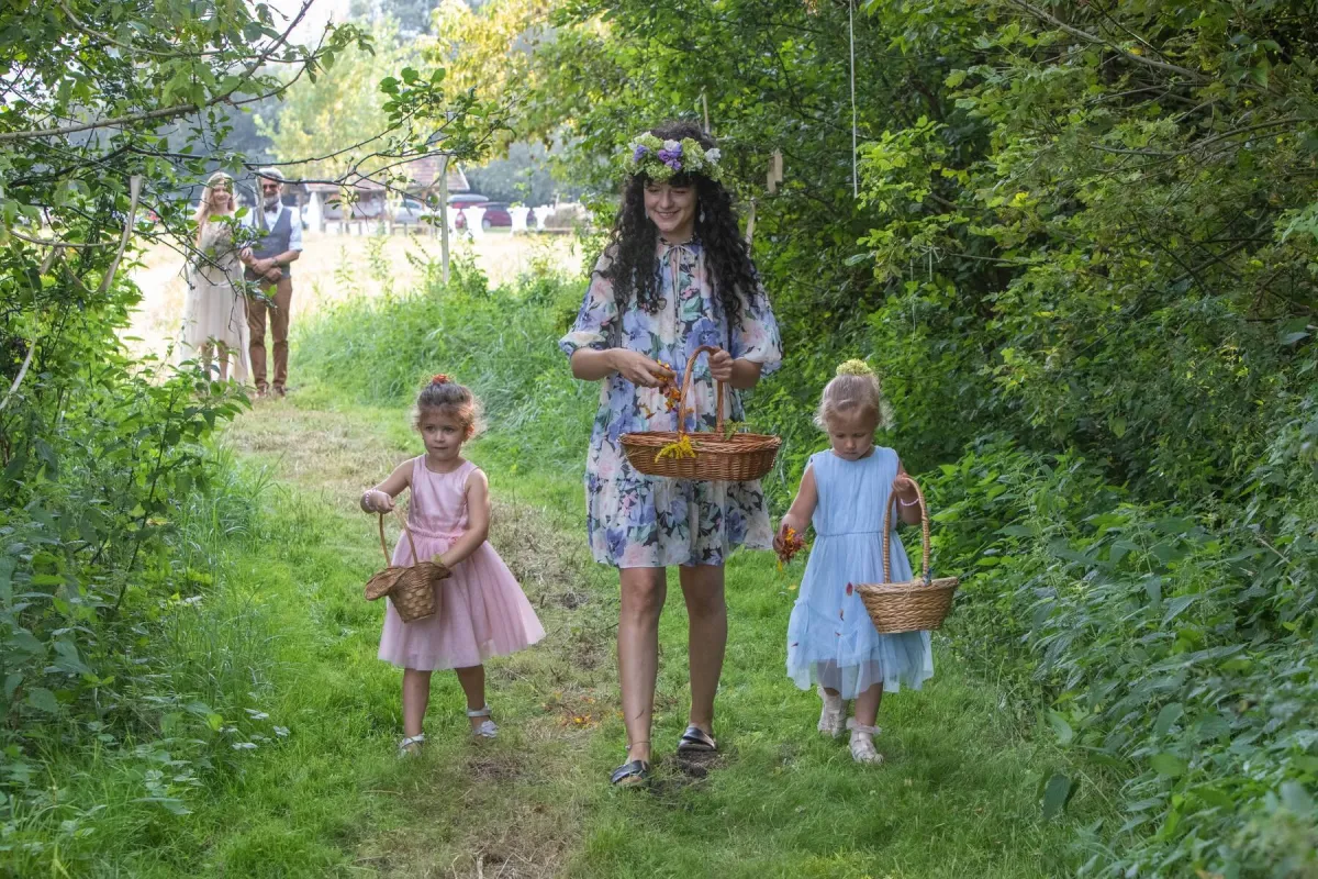 a close up of a purple and yellow flower