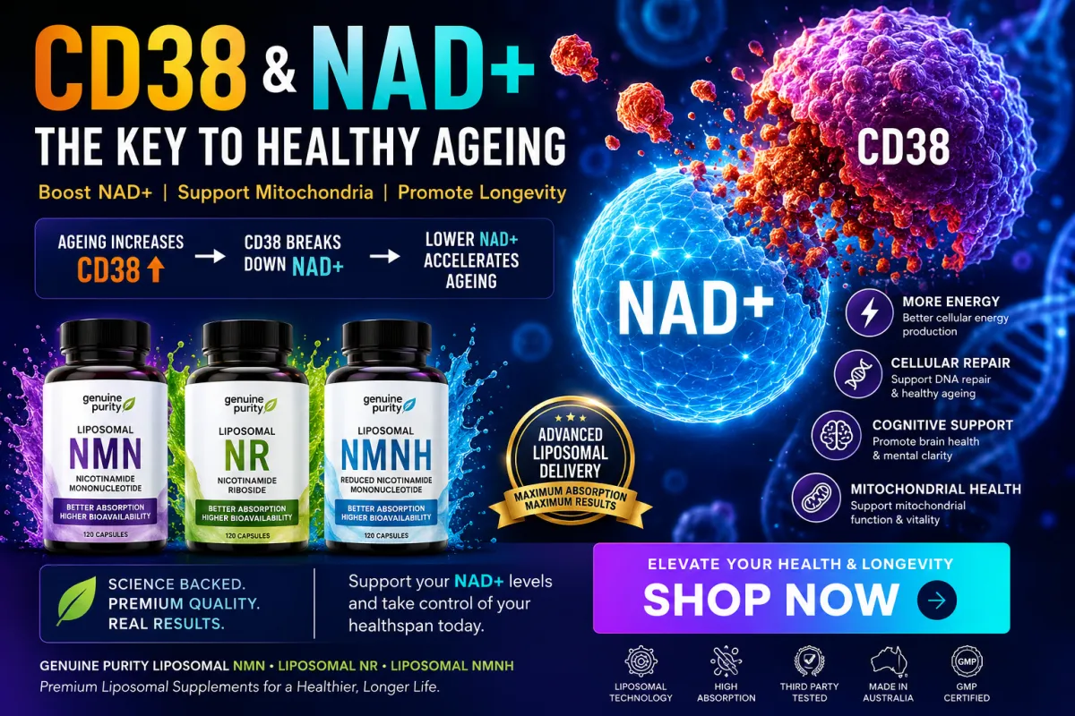 Illustration of human cells highlighting CD38 and NAD+ interaction