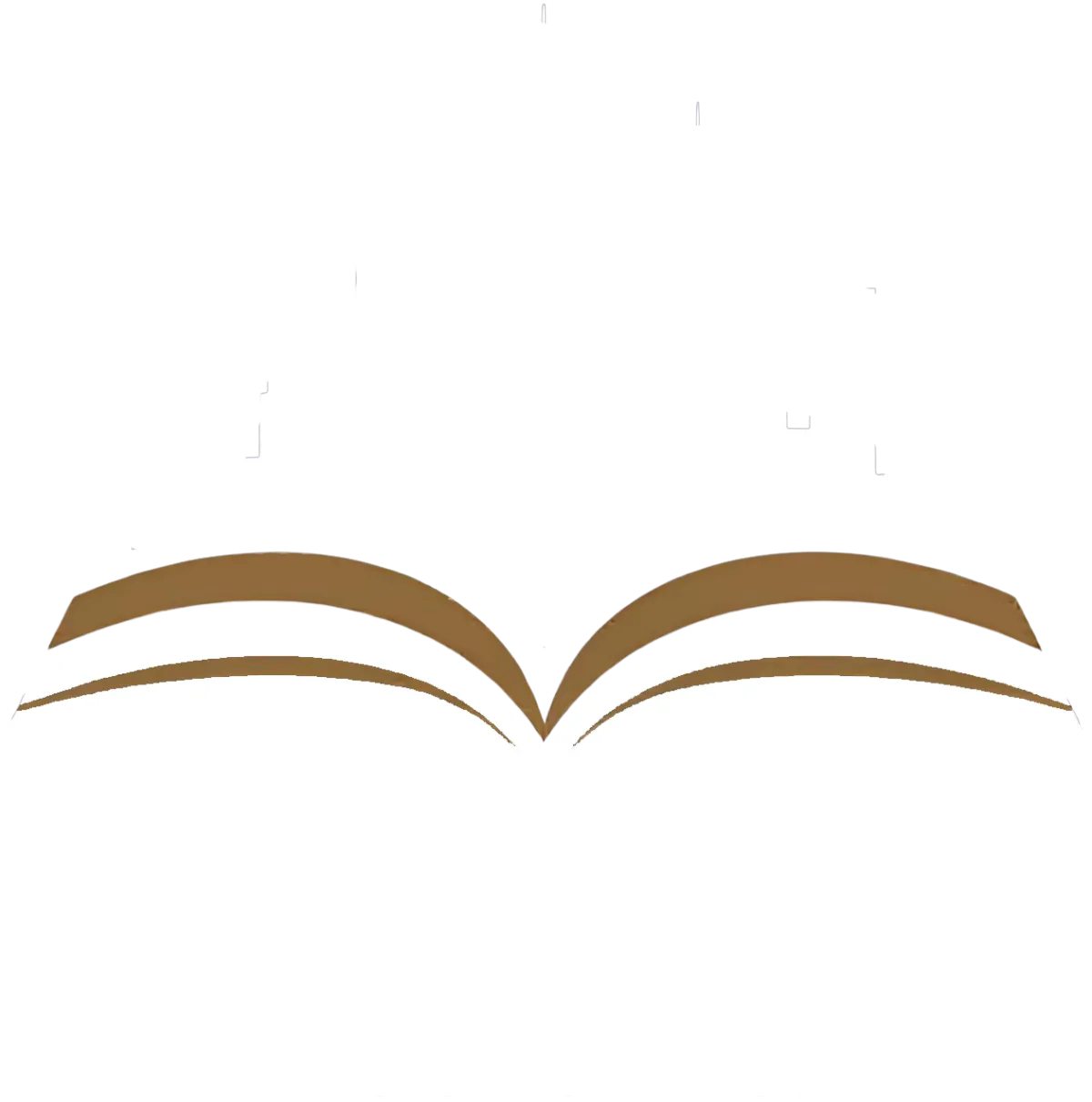Skyline Books Inc strategic business consulting firm logo