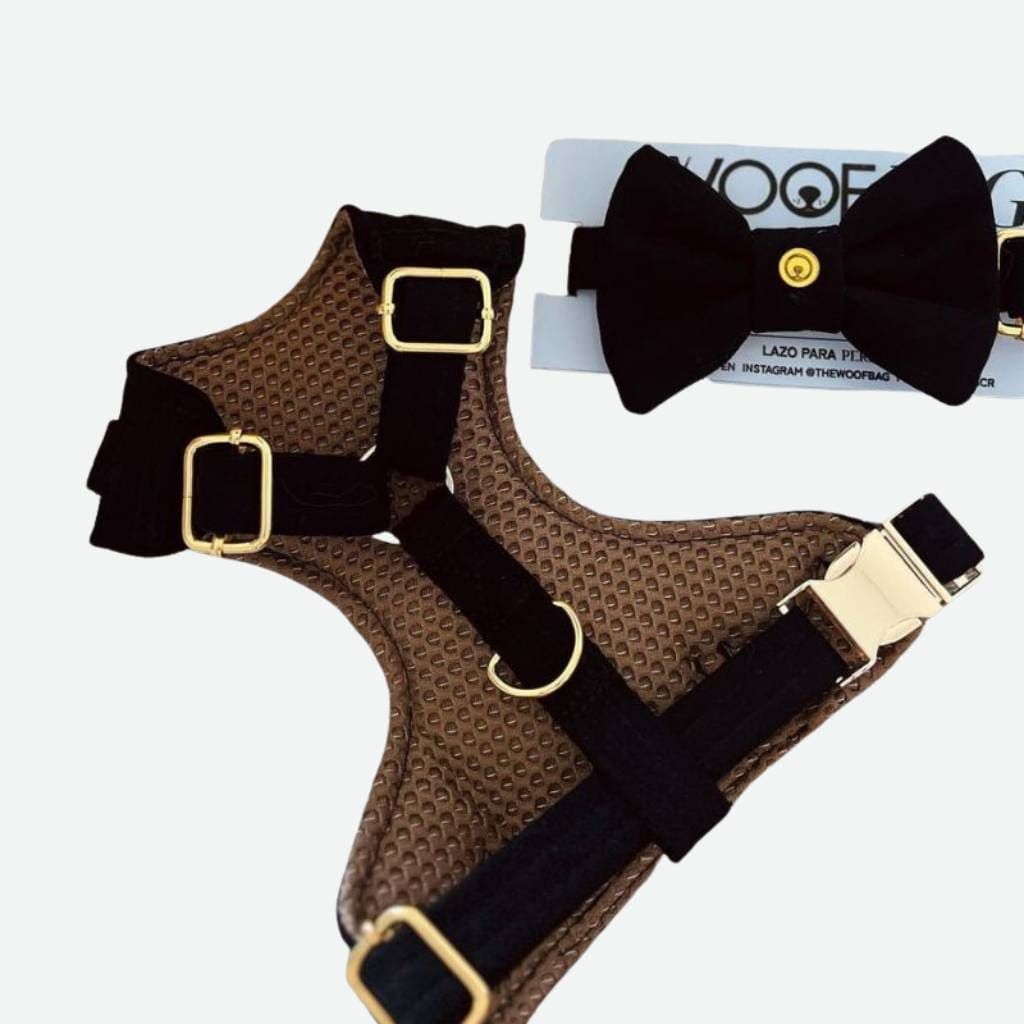 Conjunto “Black Elegance” de Woof Bag, arnés negro con hebillas doradas y corbatín removible, diseño premium.