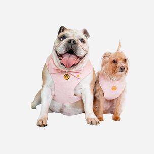 Perros usando conjuntos elegantes en color rosa de la Colección Conjuntos Elegantes de Woof Bag