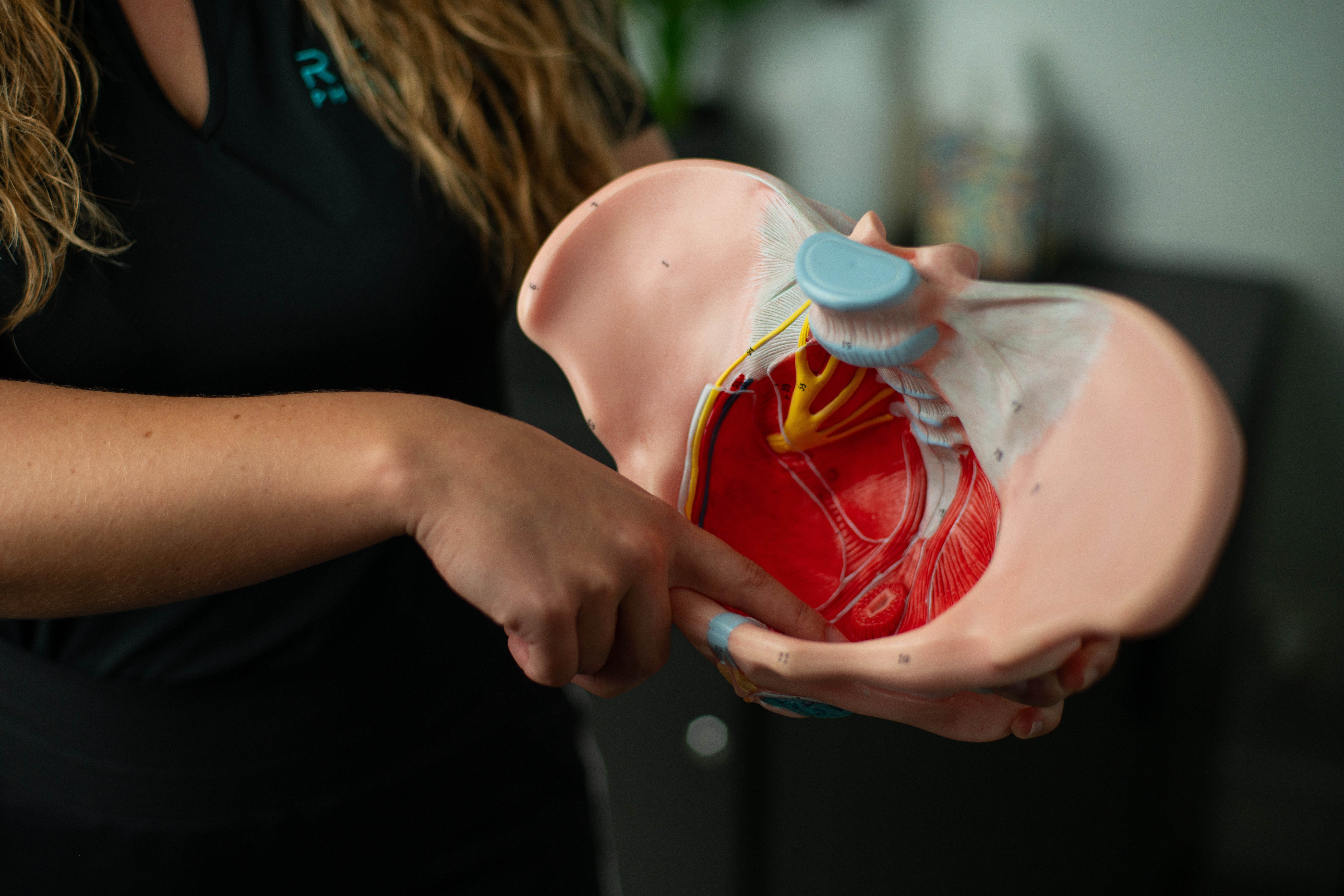 Understanding the Pelvic Floor: What It Is and How Pelvic Floor Therapy Can Help