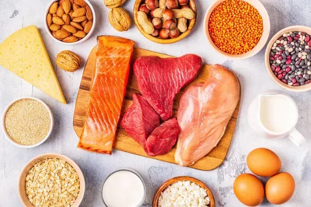 Protein sources to fuel recovery