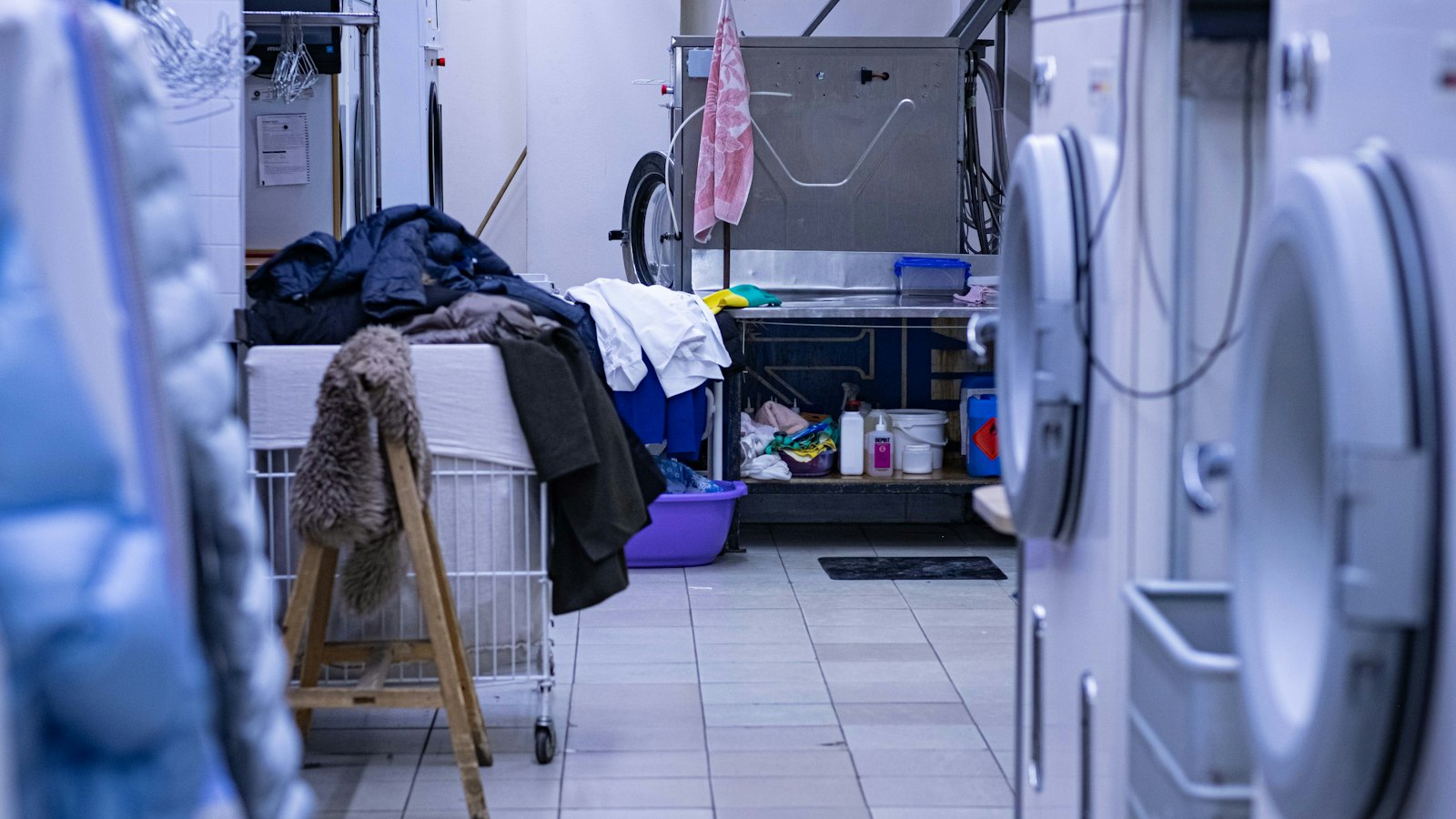 Front-load washers with their doors closed in a laundry room