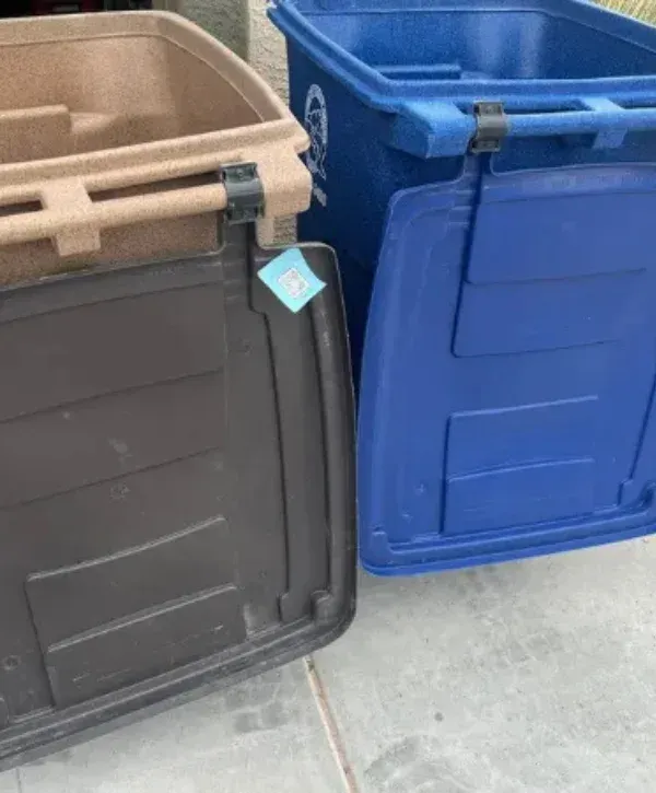 Residential curbside garbage bins ready after professional cleaning service