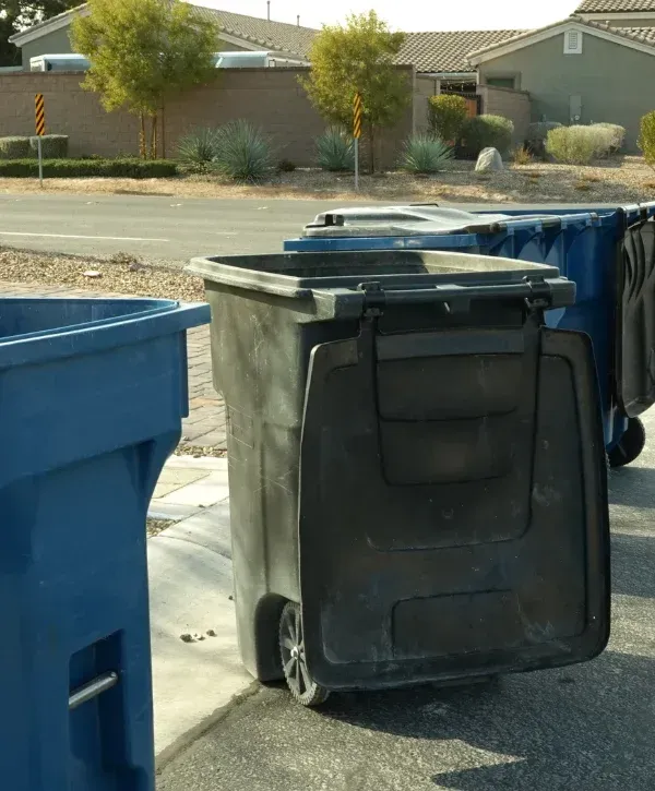 A row of several blue and black plastic garbage bins with one black bin lid open, on a suburban street.