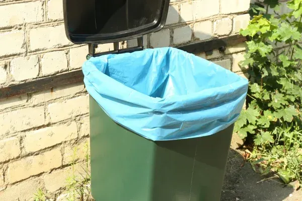 The Hidden Dangers of Dirty Trash Cans and the Importance of Garbage Bin Cleaning in Cooksville, MD