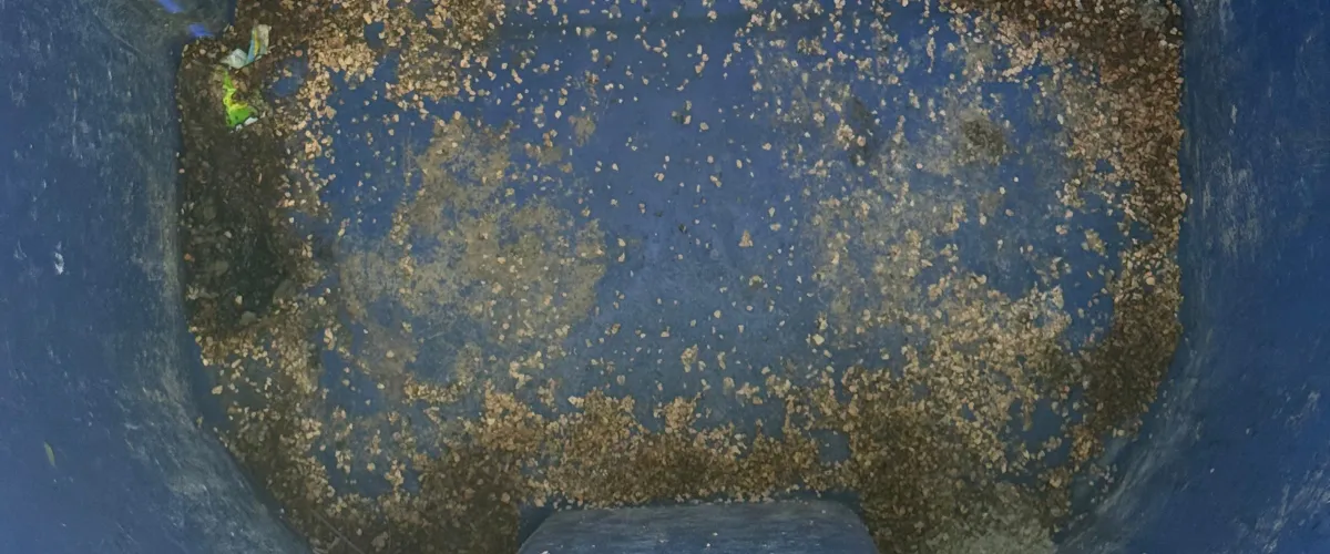 A close-up overhead view of the dirty, gravel-covered bottom of a blue container or bin with some debris.